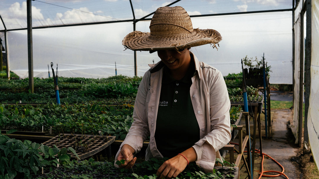 A smiling conservationist in a straw hat tending to baby trees in a large greenhouse